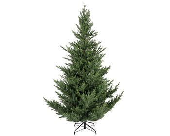 180cm Norway Spruce Tree | 684814