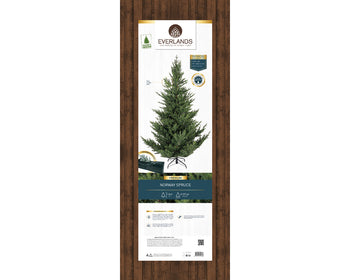 180cm Norway Spruce Tree | 684814