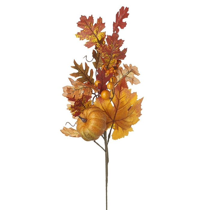 Autumnal Leaf And Pumpkin Branch | NCT047