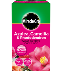 Miracle-Gro® Azalea, Camellia & Rhododendron Soluble Plant Food 1kg│4105612