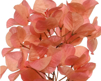 Bougainvillea Branch│801426