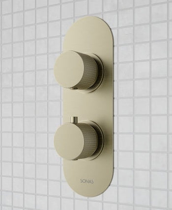 Alita Dual Control Dual Outlet Concealed Thermostatic Brushed Nickel Shower Valve | USH0094