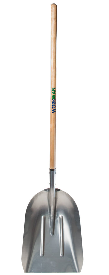 Workman Grain 48'' Ash L. Handle Aluminium Shovel | MC321